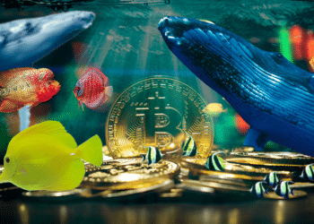 Bitcoin entre animales marinos.