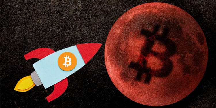 precio bitcoin recuperación 50.000 dólares willy woo