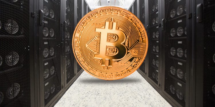 primer boletín minería bitcoin criptomonedas CriptoNoticias
