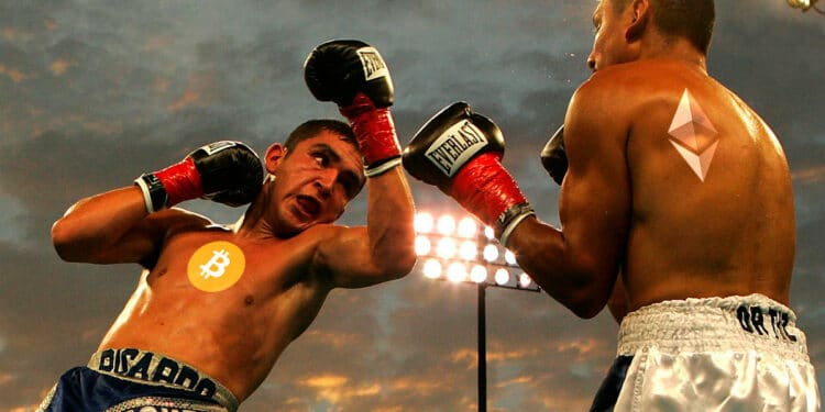Boxeadores con logo de BTC y ETH.