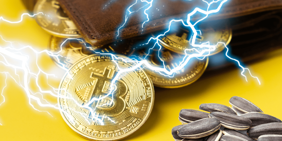 BTC, semillas, wallet y lightning.