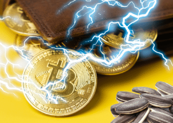 BTC, semillas, wallet y lightning.