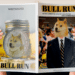 Revista de Bull Run.