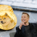 La Fundación Dogecoin cuenta con Musk y Buterin como asesores y relanza el grupo de trabajo de la criptomoneda. Composición por CriptoNoticias Fuentes:  rawf8 /  elements.envato.com  ;  jirkaejc  /  elements.envato.com  ;  jurvetson  /  flickr.com  ;  techcrunch  /  flickr.com .