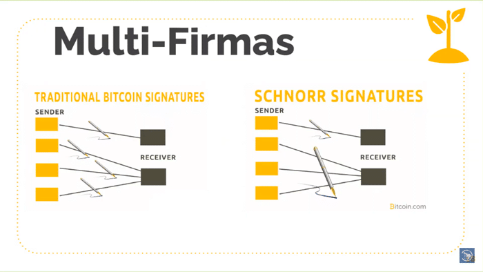 drangosh-multi-firmas