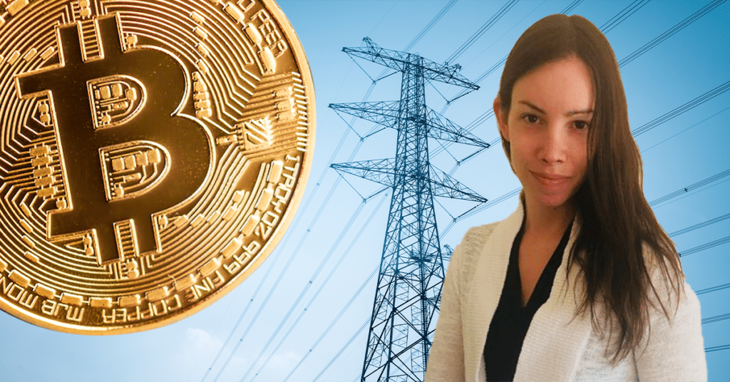Torres electricas, BTc y Lyn Alden.