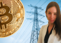 Torres electricas, BTc y Lyn Alden.