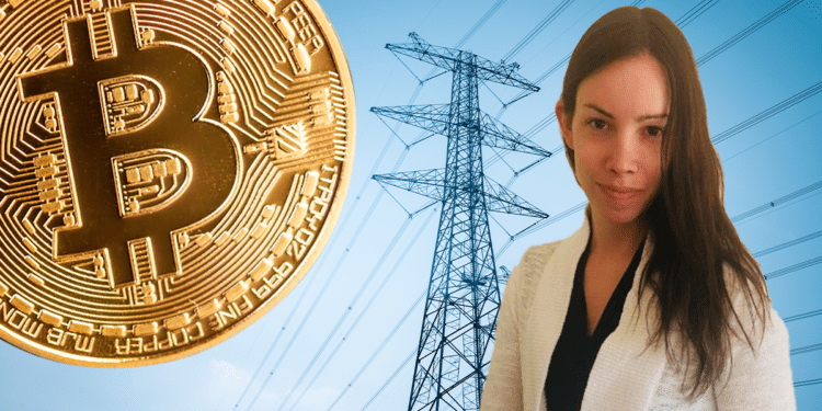 Torres electricas, BTc y Lyn Alden.