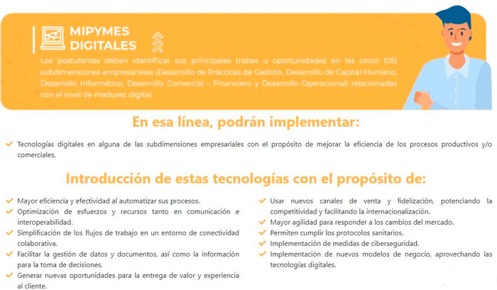 Información de Mipymes Digitales.