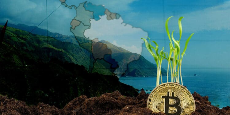 avance-adopción-bitcoin-latinoamérica
