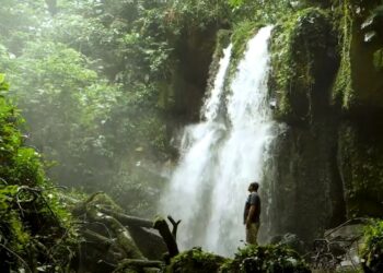 La ONG Conservación de Perú cree en los NFT representan una oportunidad para promover la conservación de las áreas naturales del país suramericano. Fuente: Youtube.com.