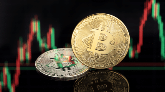 Bitcoin puede estar sobrevaluado según el analista Willy Woo