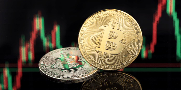 El precio de bitcoin se acercó a los USD 67.000 esta semana. Composición por CriptoNoticias. Fuentes:  formatoriginal  /  elements.envato.com .