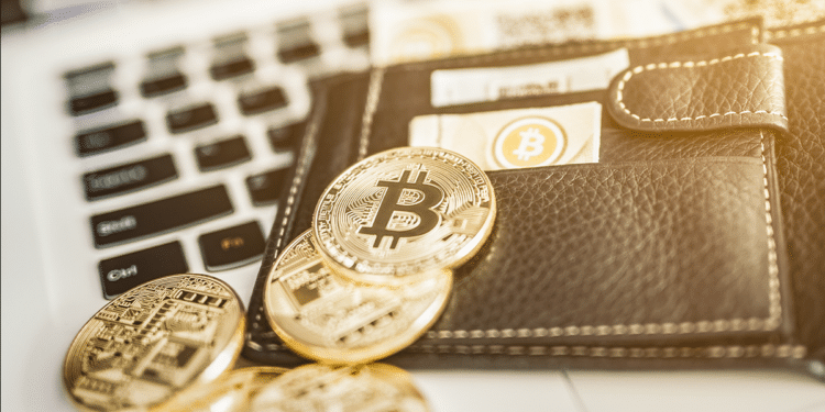Los diferentes tipos de monederos de bitcoin tuvieron su espacio en LaBitConf. Composición por CriptoNoticias. Fuentes:  redpixel  /