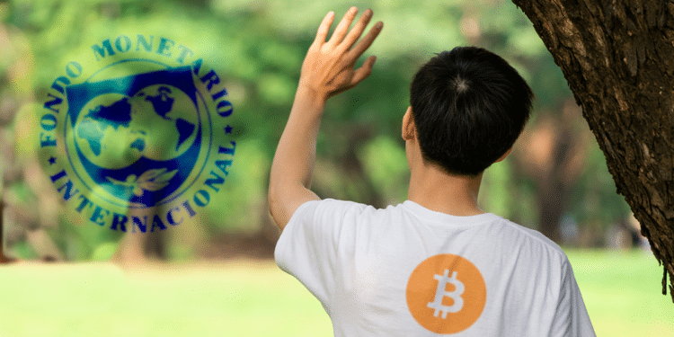 La influencia que ejercen organismos como el FMI en el mundo pudiera verse afectada por la creación de bonos para comprar bitcoin. Composición por CriptoNoticias. Fuentes:  Blue Planet  /  stock.adobe  ;  cryptologos.cc  ;  es.wikipedia.org .