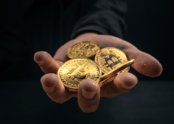 Holders y BTC.