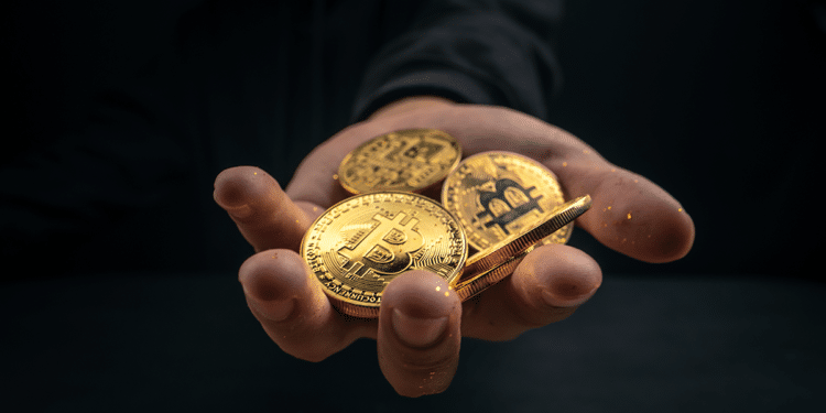 Holders y BTC.