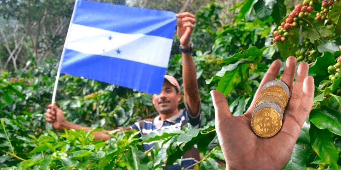 Agricultor Honduras y criptomonedas.