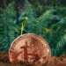 mineria-bitcoin-no-pone-peligr-medio-ambiente