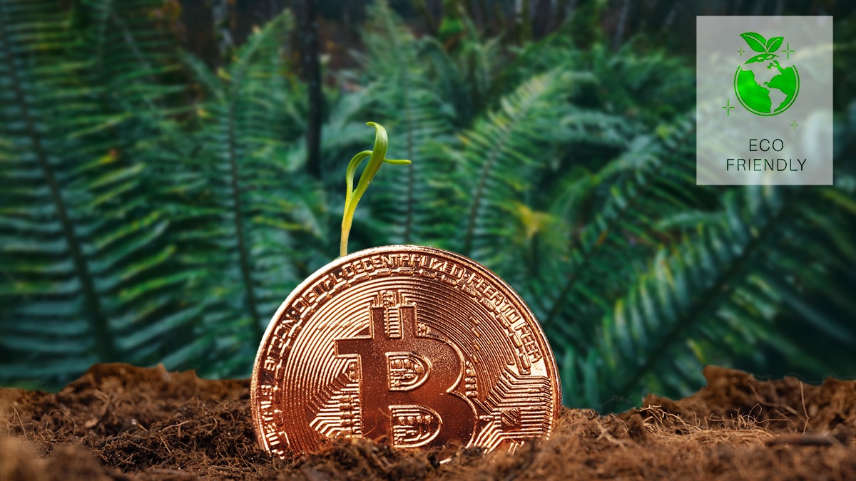 Minería de bitcoin no representa una amenaza para el medio ambiente, revela  estudio