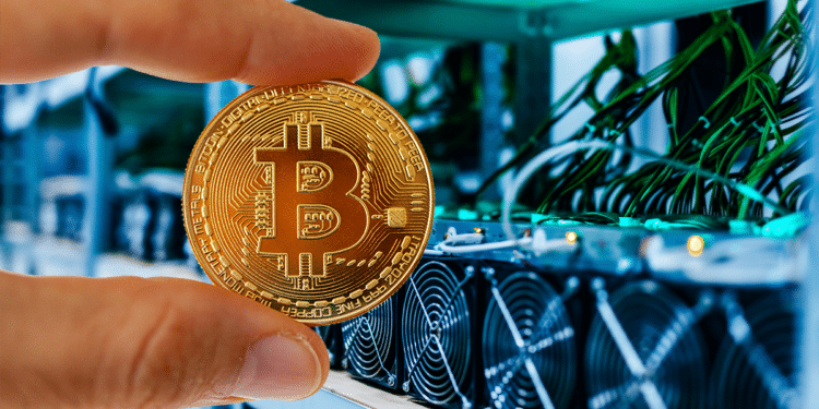 Pool de BTC.