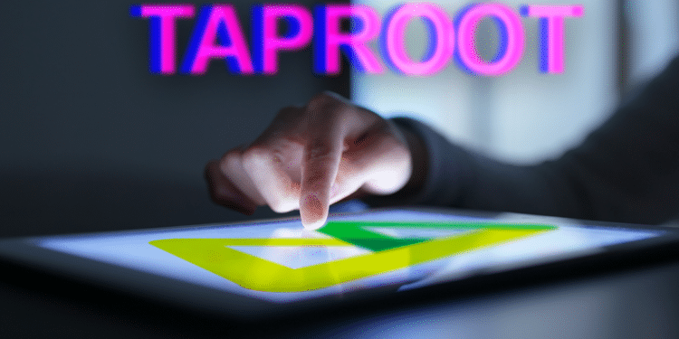 Taproot y BTCPay en tablet.