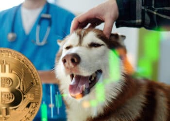 clinica-veterinaria-el-salvador-ganancias-bitcoin