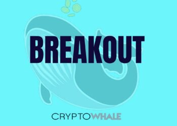 Ballena en fondo azul con palabra del nuevo producto Breakout