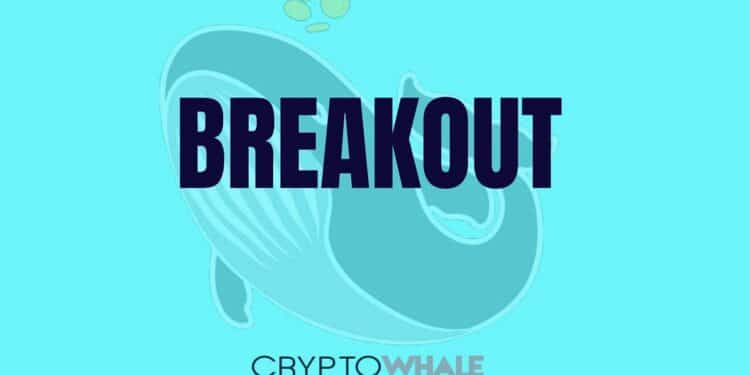 Ballena en fondo azul con palabra del nuevo producto Breakout