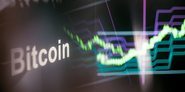 Trader profesional Willy Woo analiza las posibles causas de la baja del precio de bitcoin. Composición por CriptoNoticias. Fuentes: Alexander / stock.adobe.