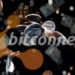 victimas-estafa-bitcoinnect-compensadas-venta-criptomonedas-incautadas