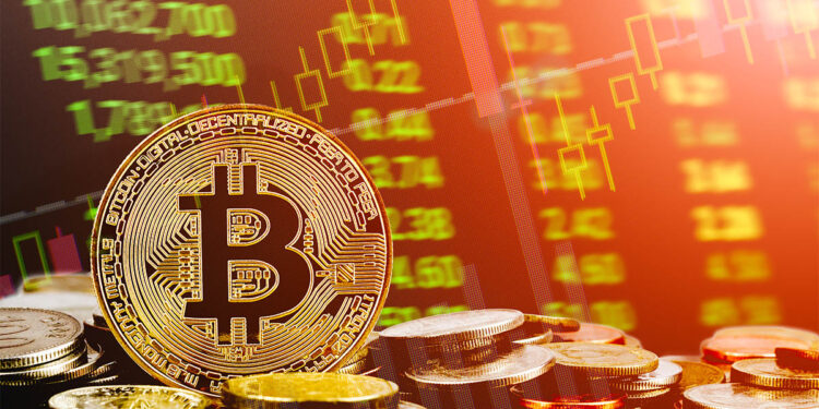 Kraken estima un futuro alcista para bitcoin. Fuente: ezstudiophoto / stock.adobe.com