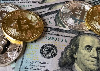 Con el ritmo de inversiones registradas hasta ahora, 2021 superará en 66% las inversiones en BTC de 2020. Fuente: https://pixabay.com/es/photos/dolar-bitcoin-money-4932316/