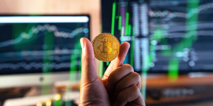 acumulacion-bitcoin-holders