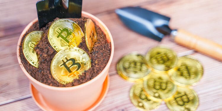 ganancia-minero-bitcoin-mini-granja