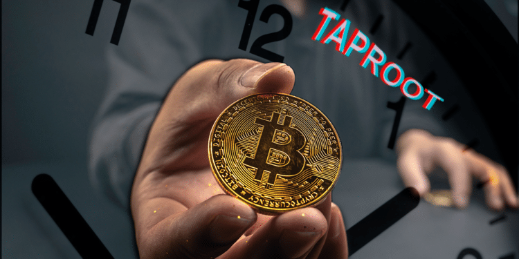 Taproot y BTC.