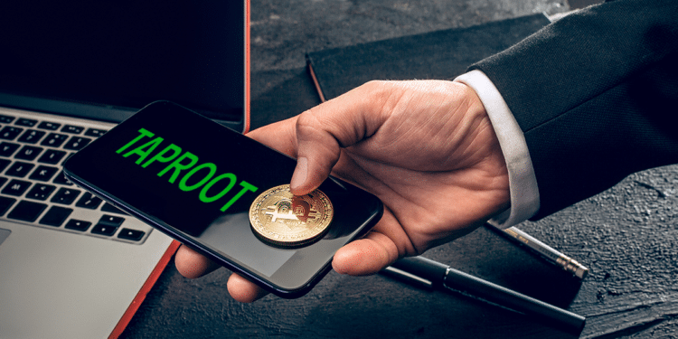 El ecosistema de Bitcoin todavía se está preparando para Taproot, que ya está activo. Composición por CriptoNoticias. Fuentes:  master1305 /  elements.envato.com .