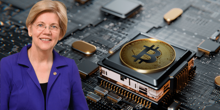 Warren y BTC.