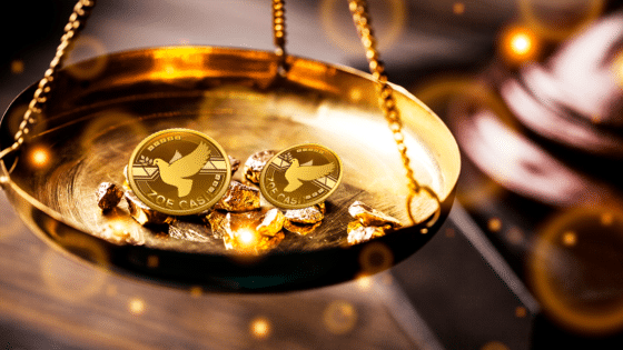 ¿Qué pasó con el oro de zoe cash?