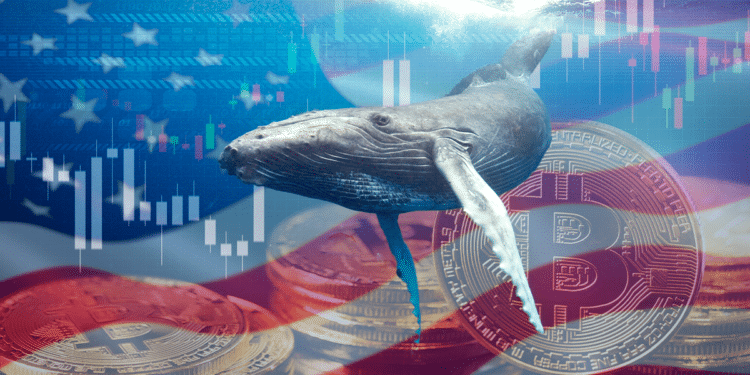 BTC ballena USA.