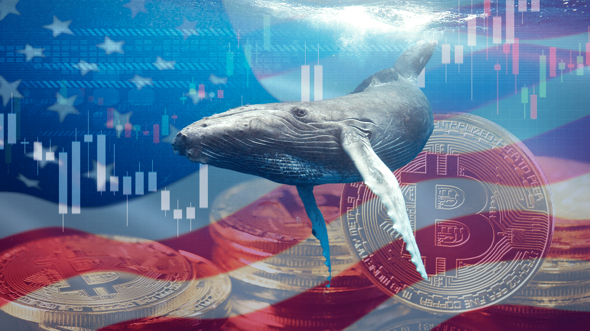 Tras confiscar 94.000 bitcoins, Estados Unidos se convierte en una de las  mayores ballenas