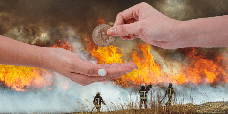 Incendio y donación de bitcoin.