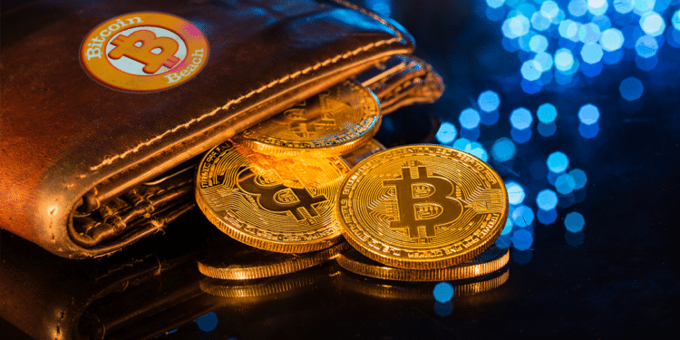 BTC Beach Wallet.