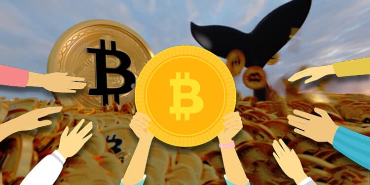 inversionistas-bitcoin-ballenas