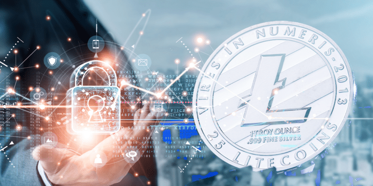 MimbleWimble oculta las direcciones de wallet de los usuarios de Litecoin al hacer transacciones. Composición por CriptoNoticias. Fuentes: ipopba / stock.adobe ; Sergey
 / stock.adobe.