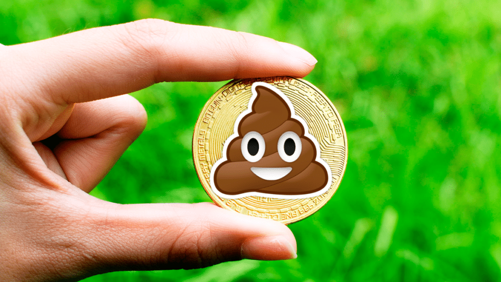 Shitcoins: what should you know about these cryptocurrencies and tokens before investing?