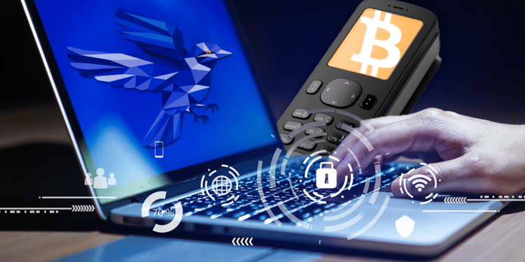 Seguridad y wallets.
