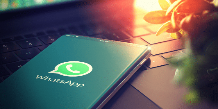 WhatsApp habilitó el envío de bitcoin por chat en Estados Unidos con Novi.