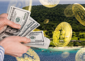 Isla BTC y dinero.