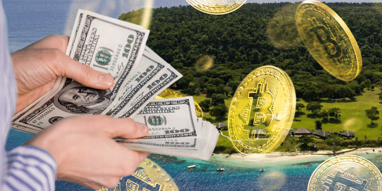 Isla BTC y dinero.